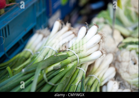 Oignons verts frais à l'épicerie. Banque D'Images