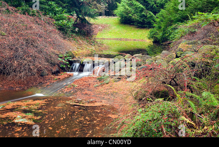 Petite cascade et ruisseau dans un park, Portland Oregon. Banque D'Images