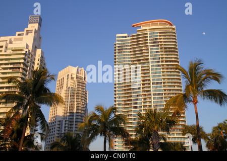 Miami Beach Florida,South Pointe Park,point,palmiers,Continuum,South Pointe Towers,High Rise,condominium buildings,City Skyline,FL120114015 Banque D'Images