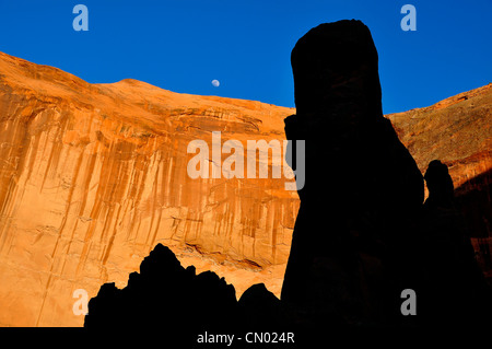 Vernis du désert sur paroi du canyon, le Coyote Gulch, un affluent de l'Escalante River dans le sud de l'Utah. Banque D'Images