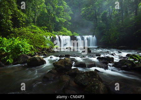 Nandroya Falls dans le Parc National de Wooroonooran. Atherton Tablelands, Innisfail, Queensland, Australie Banque D'Images