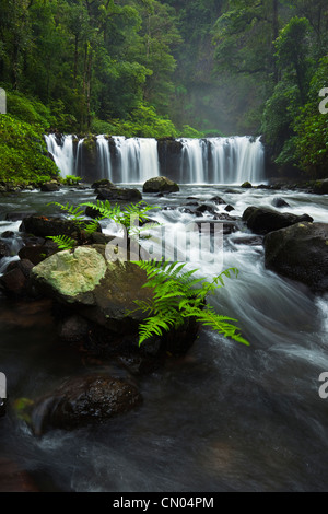 Nandroya Falls dans le Parc National de Wooroonooran. Atherton Tablelands, Innisfail, Queensland, Australie Banque D'Images