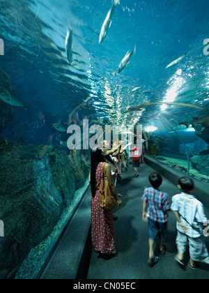 Ocean World Aquarium Bangkok Thaïlande Banque D'Images