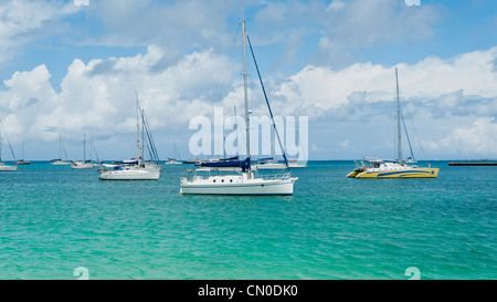 Voiliers dans le port de Marigot, Saint Martin, Caraïbes sur une belle journée de printemps. Banque D'Images