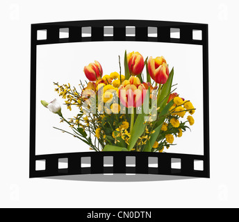 Film fixe avec l'image suivante : photo détail d'un bouquet de fleurs avec des tulipes, l'arrière-plan blanc. Banque D'Images