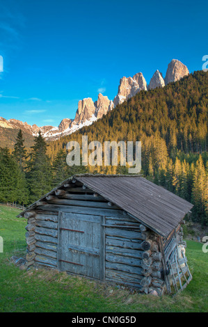 Vue panoramique d'une hutte dans un pré dans les Alpes italiennes Banque D'Images