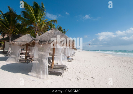 Palapas sur la magnifique plage de sable blanc vide Tulum Mexico Banque D'Images