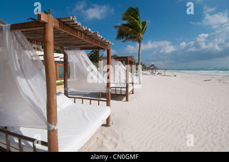 Palapas sur la magnifique plage de sable blanc vide Tulum Mexico Banque D'Images
