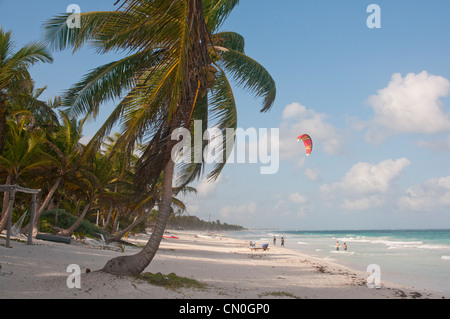 Kite Surf sur la plage de sable blanc déserte Tulum Mexico Banque D'Images