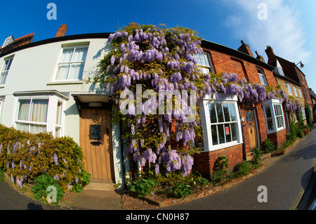 Chalets Ville de glycine poussent sur eux. High Street, Buckingham Bucks Banque D'Images