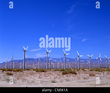 Les éoliennes près de Palm Springs, Californie, États-Unis d'Amérique Banque D'Images