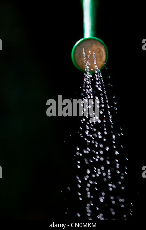 L'eau provenant d'un semis arrosoir sur un fond sombre Banque D'Images