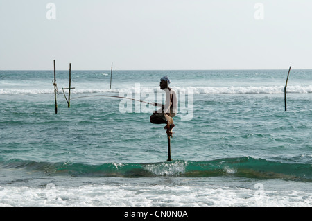 Personnes âgées stilt fisherman attend patiemment pour ses captures à Ahangama Sri Lanka Banque D'Images