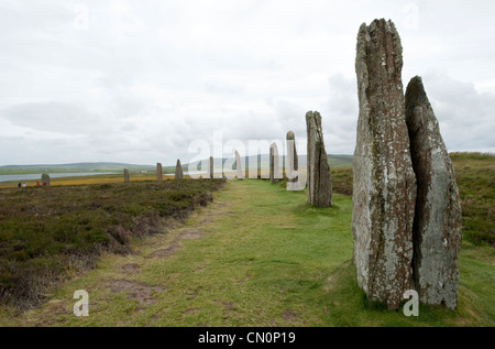 Pierres dans le cercle de l'anneau néolithique henge de Shetlands sur l'Orkney Islands Banque D'Images