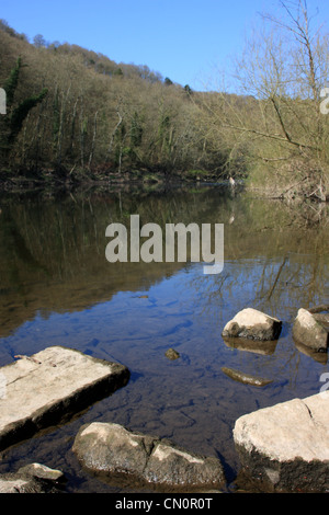 Les faibles niveaux d'eau sur la rivière Severn à Trimpley, près de Bewdley, England, UK. Prises au début d'avril 2012. Banque D'Images