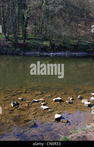 Les faibles niveaux d'eau sur la rivière Severn à Trimpley, près de Bewdley, England, UK. Prises au début d'avril 2012. Banque D'Images