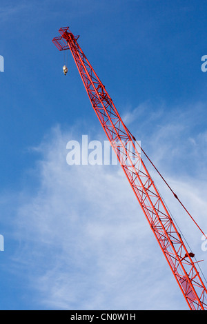 Grue rouge contre un fond de ciel bleu. Banque D'Images