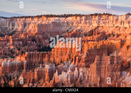 La première lumière du soleil qui brille sur les cheminées au lever du soleil dans le Parc National de Bryce Canyon dans l'Utah. Banque D'Images