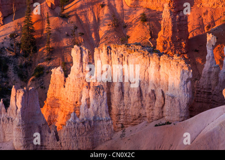 La première lumière du soleil qui brille sur les cheminées au lever du soleil dans le Parc National de Bryce Canyon dans l'Utah. Banque D'Images