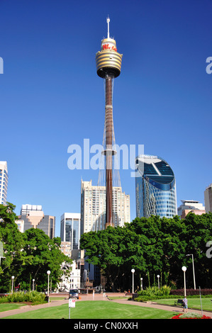 L'Archibald Fontaine avec Sydney Tower en arrière-plan, Hyde Park, Sydney, New South Wales, Australia Banque D'Images