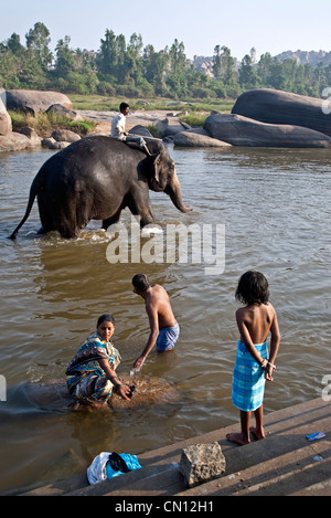 Éléphant dans une rivière. Hampi. Karnataka. L'Inde Banque D'Images