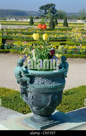 France, Yvelines, Versailles, les jardins du château de Versailles classée au Patrimoine Mondial de l'UNESCO, vase du parterre sud Banque D'Images