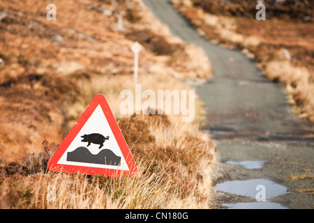 Calums Road sur l'île de Raasay, Ecosse, Royaume-Uni. Pendant des années, Malcolm Macleod a essayé de persuader le conseil de remplacer le chemin de sa maison de Arnish sur le nord de l'île, sans succès. Il a décidé de construire la route lui-même. Pour les dix prochaines années il pratiquement seule construit la route avec un peu plus d'une Choisir une pelle et une brouette. Cette photo montre un signe d'avertissement la gamme de porcs. Banque D'Images