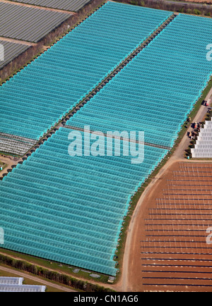 Vue aérienne des polytunnels commerciaux des entreprises de producteurs commerciaux de Makins à Garforth près de Leeds prise en 2012 Banque D'Images