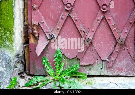 La porte de métal rouillé et historique contexte fragment Banque D'Images