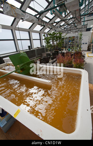 La recherche sur les énergies renouvelables au sein du National Renewable Energy Laboratory Banque D'Images