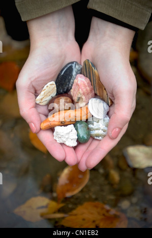 Mains tenant des coquillages Banque D'Images