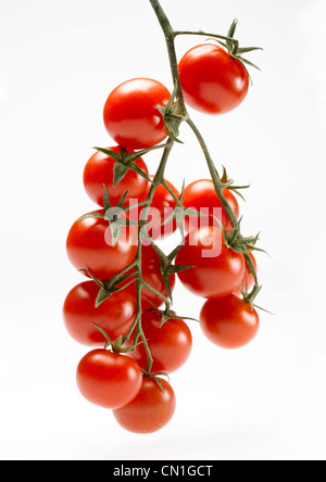 Plusieurs Tomates cerises sur Vine Banque D'Images