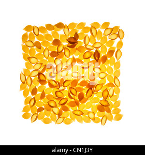 Les petites coquilles de pâtes disposées en carré Banque D'Images