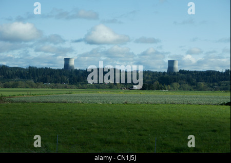 Les tours de refroidissement nucléaire dans la forêt derrière les terres agricoles sur un ciel nuageux l'après-midi. Banque D'Images