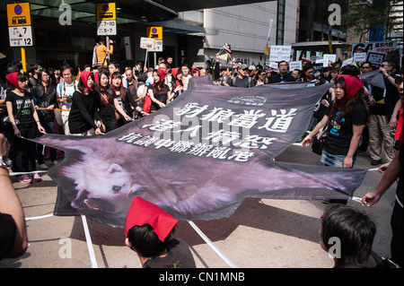 Pro-démocratie des milliers de mars contre le gouvernement de Hong Kong depuis Leung Chun-ying, a été élu comme nouveau chef de la direction Banque D'Images