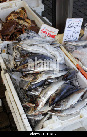 Pays-bas Groningen Fish Market Banque D'Images