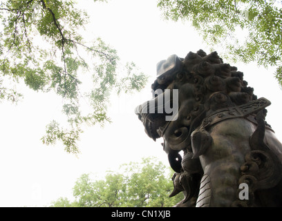 Statue de Lion, Lama Temple, Beijing, Chine Banque D'Images