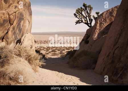 Paysage désertique du sud de la Californie Banque D'Images