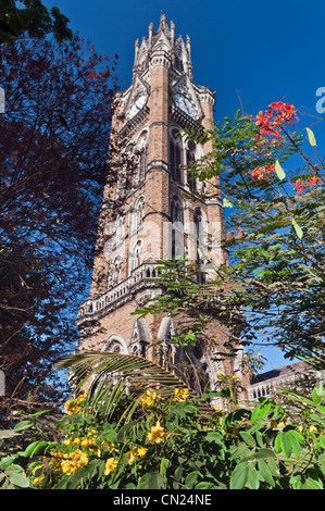 Tour de l'horloge de l'Université de Bombay Mumbai Bombay Inde Kala Ghoda Banque D'Images