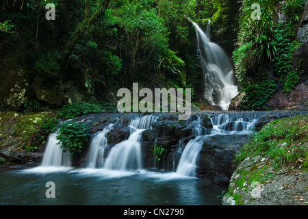 Chutes Elabana, Springbrook NP QLD. Banque D'Images