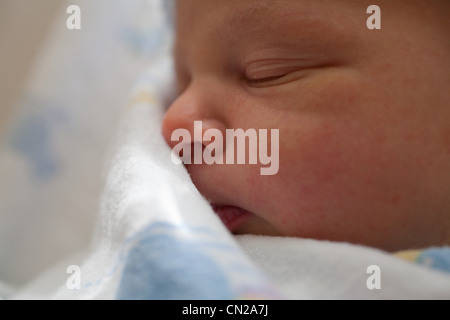 Premature baby's face, Close up Banque D'Images