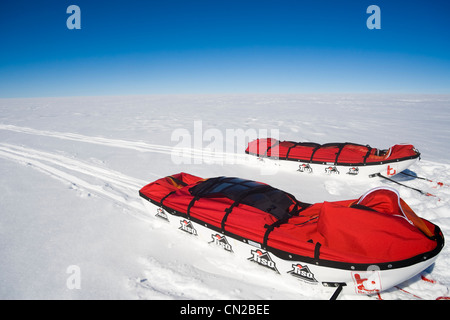 Cercle arctique - Expédition polaire des traîneaux, ice cap, Groenland Banque D'Images