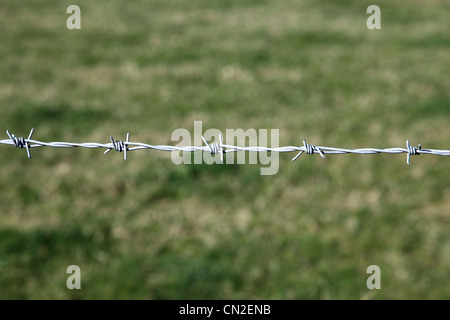 Clôture en fil barbelé contre l'herbe. Banque D'Images