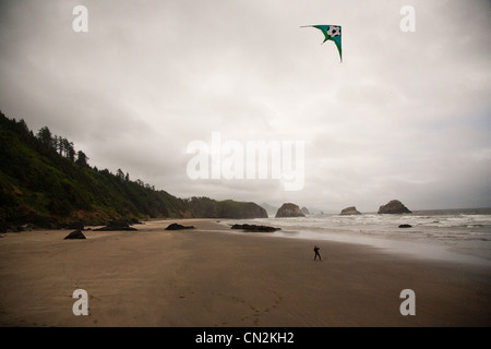 Jeune homme flying kite on beach Banque D'Images