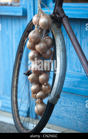 La France, Finistère, Roscoff, vieux vélo des oignons ventes appelé Johnnies Banque D'Images