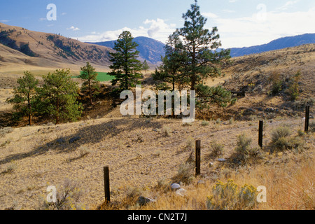 Pocket Desert, Osoyoos, BC Banque D'Images