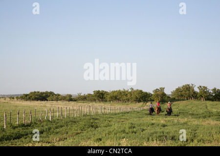 Trois femmes de l'équitation en terrain, vue arrière, Texas, États-Unis Banque D'Images