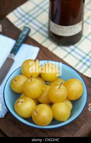 Bol de tomates cerises jaunes frais Banque D'Images