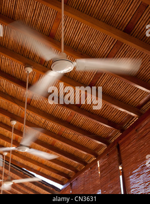 Ventilateurs de plafond Banque D'Images