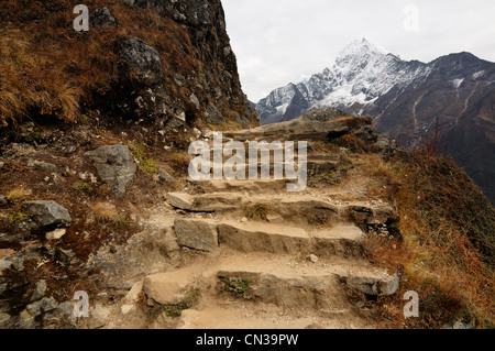 Étapes de l'himalaya sur le chemin de Namche Bazar à Khumjung, Népal Banque D'Images